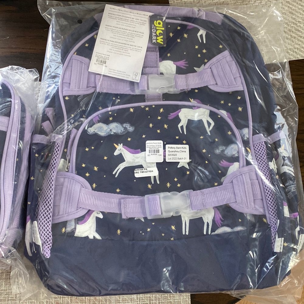 Pottery Barn backpack and lunch bag
